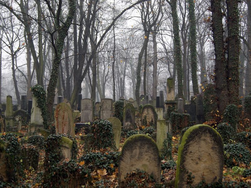 Трагедии и радости Казимежа — прогулка по еврейскому Кракову - экскурсия в Кракове