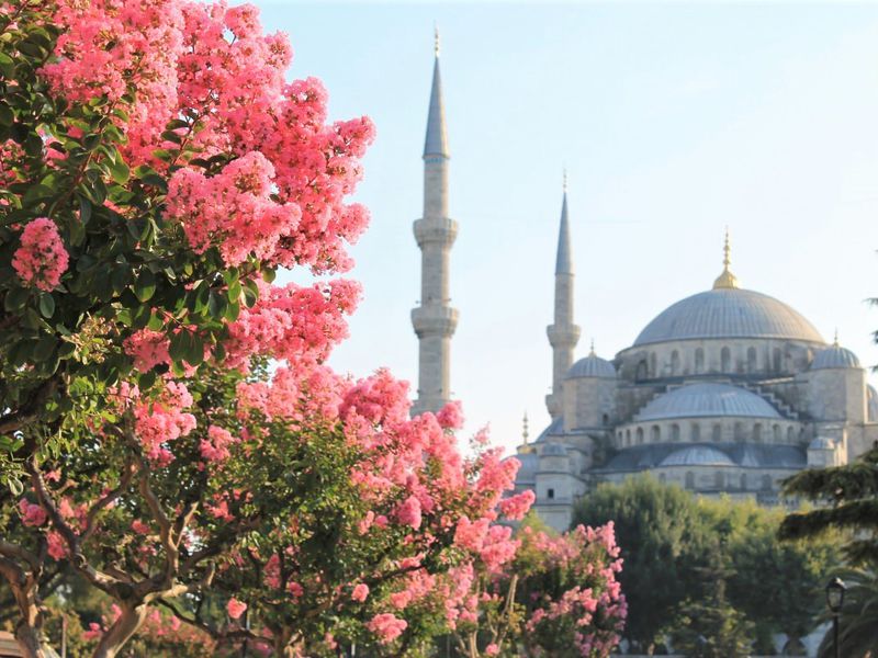 Ваш идеальный день в Стамбуле - экскурсия в Стамбуле