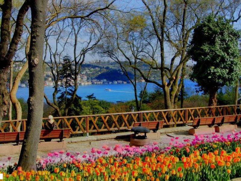 По Босфору на фестиваль тюльпанов в парк Эмирган (апрель) - экскурсия в Стамбуле