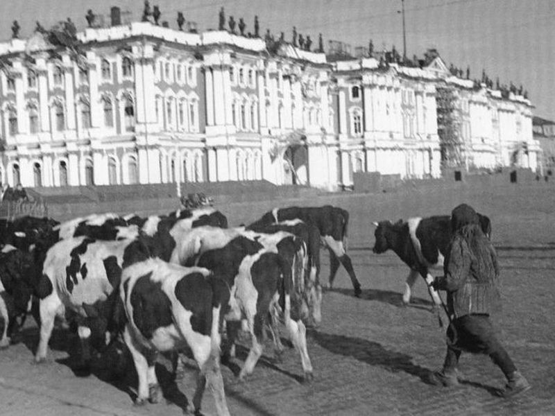 Как Ленинград жил во время блокады - экскурсия в Санкт-Петербурге