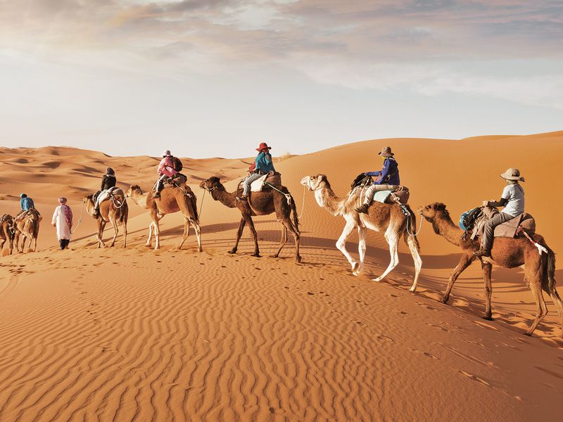 Индивидуальное сафари по дубайским дюнам - экскурсия в Дубае