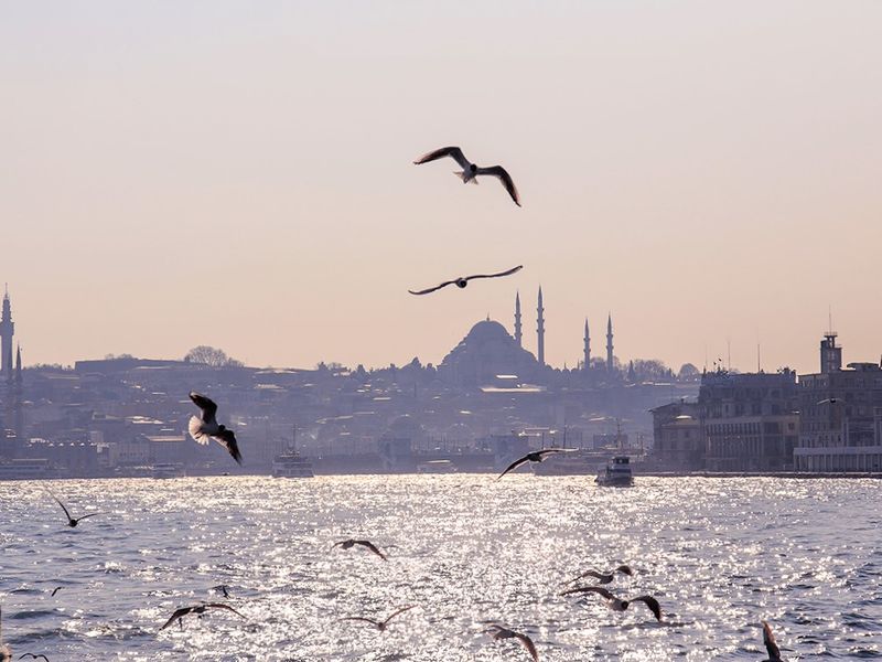 Босфорские воды: история и легенды - экскурсия в Стамбуле