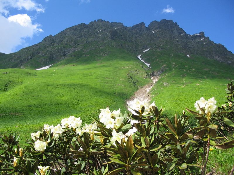 Долина семи озёр и альпийские луга Абхазии - экскурсия в Сухуме