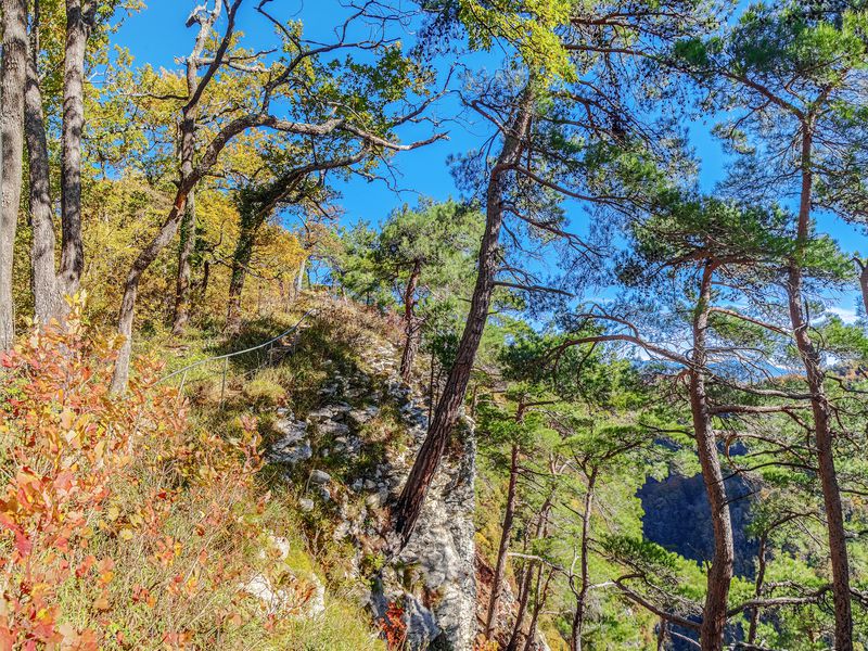 К Агурским водопадам — через колхидский лес - экскурсия в Сочи