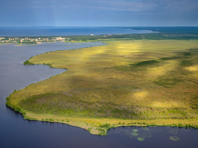 Сестрорецкое болото»: эко-треккинг и фотосессия - экскурсия в Санкт-Петербурге