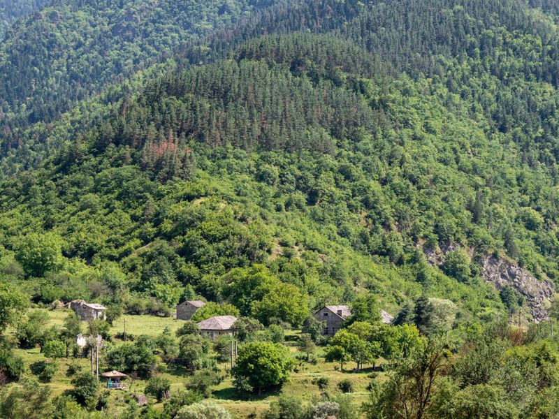 Боржоми-Уплисцихе. Зеленый рай и пещерный город - экскурсия в Тбилиси