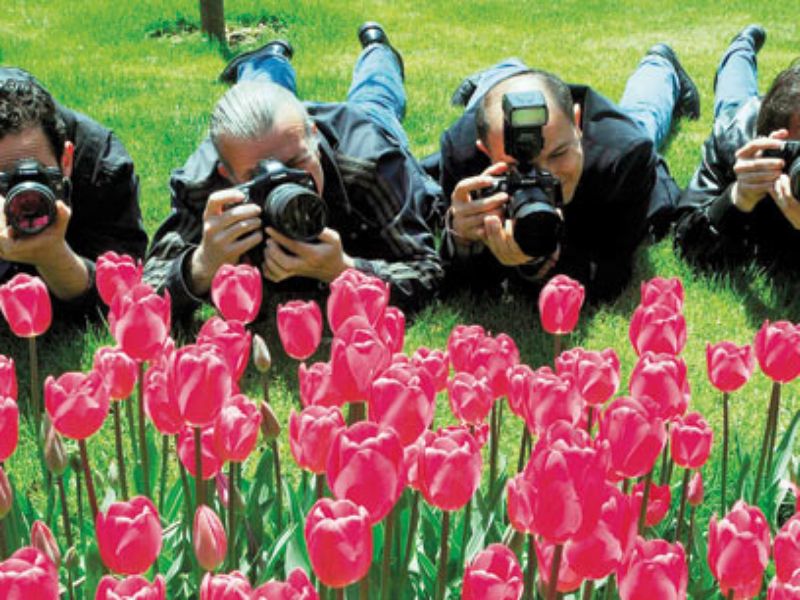 По Босфору на фестиваль тюльпанов в парк Эмирган (апрель) - экскурсия в Стамбуле