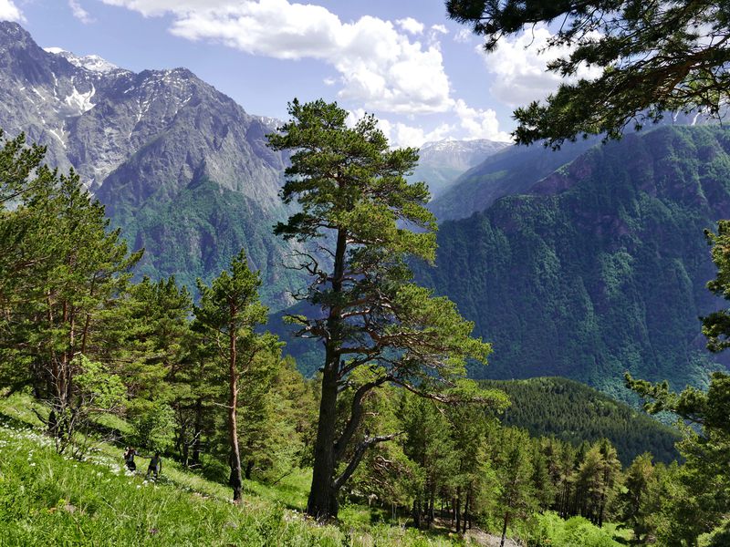 Великолепная пятерка» ущелий Северной Осетии - экскурсия в Владикавказе