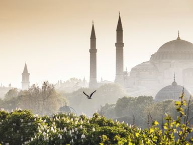 Стамбул-Константинополь, или по следам Византии - экскурсия в Стамбуле