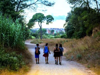 Хайкинг в природном парке Кольсерола - экскурсия в Барселоне