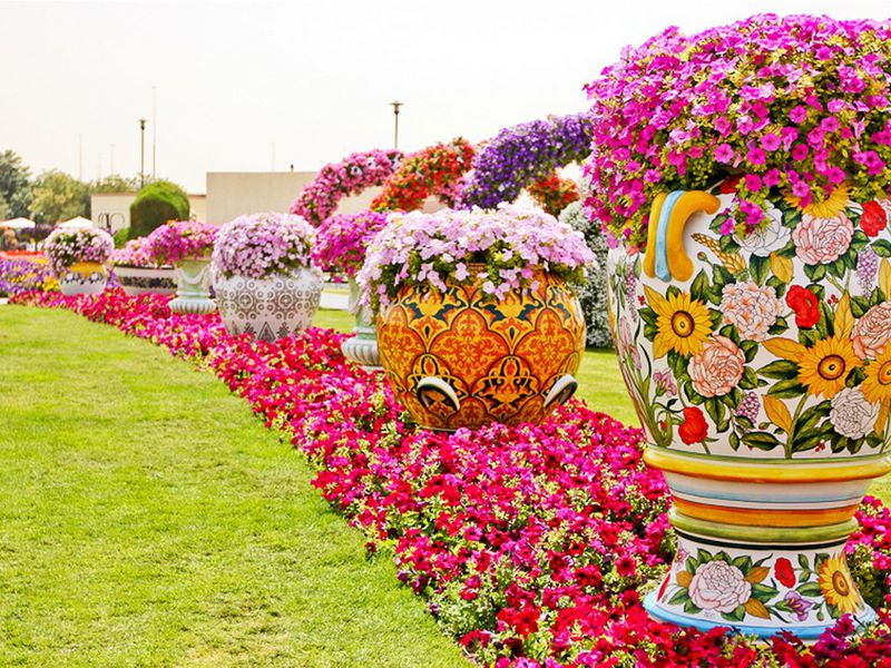 Парк цветов и всемирная ярмарка Global Village в Дубае - экскурсия в Дубае