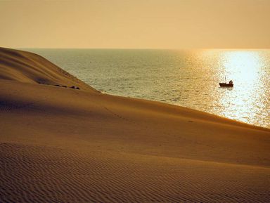 О чем поют пески янтарных дюн: история Куршской косы - экскурсия в Калининграде