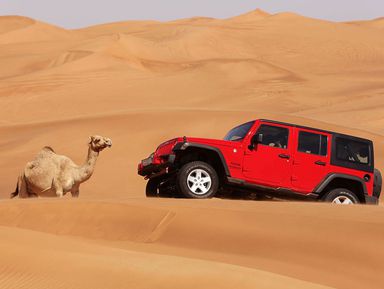 Пустынное сафари — джип-тур в Дубае - экскурсия в Дубае